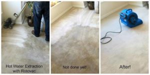 carpet cleaning utah, carpet cleaner